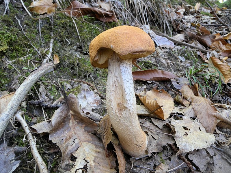 Forse l''ultima bellissima giornata..!!